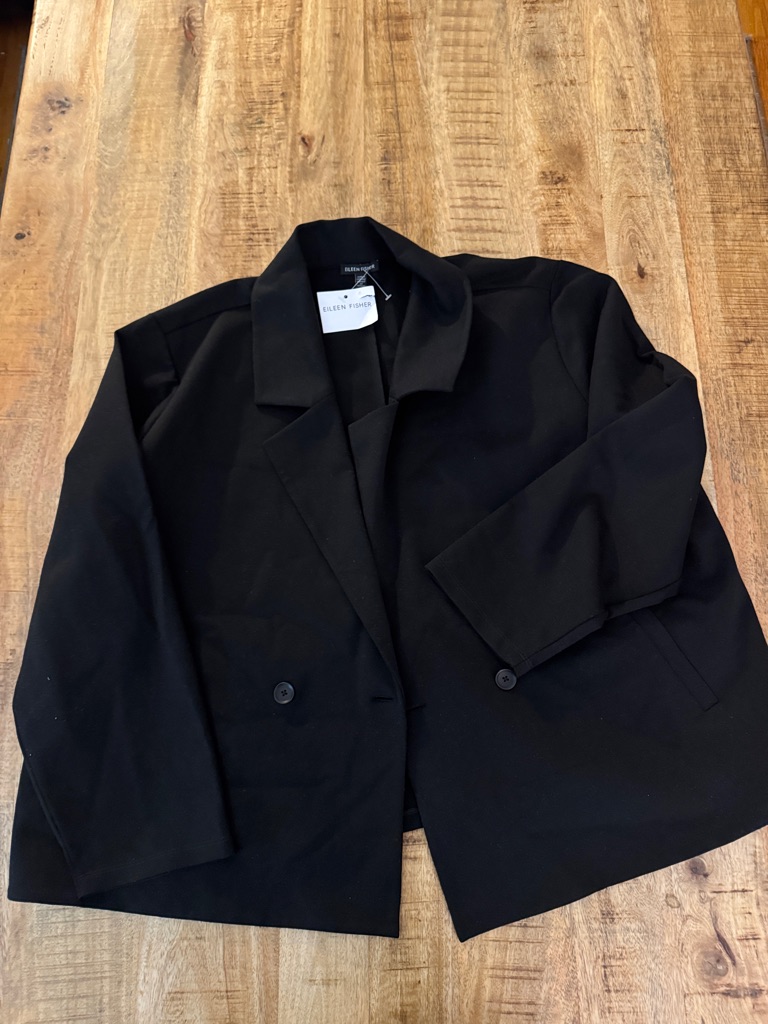 Eileen Fisher 100% Wool Black Minimalist Double-Breasted Blazer Jacket Nwt